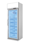 Adjustable Shelf Commercial Upright Glass Door Freezer For Cheese Ice Cream