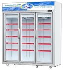 5 Layers Shelves Commercial Display Freezer With Double Glass Doors