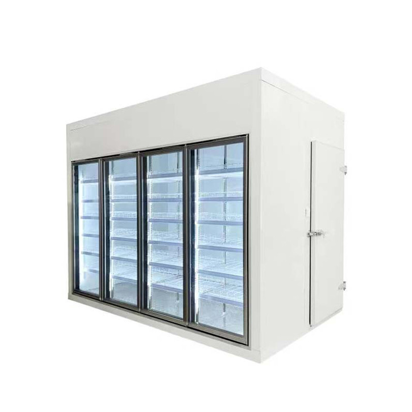 Multi Deck Dairy Glass Door Freezer Back Load Beverage Cooler Cooling Room