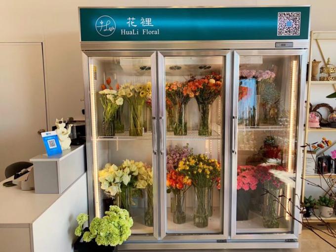 Commercial Fresh Flower Glass Door Freezer Multi Climate Fan Cooling