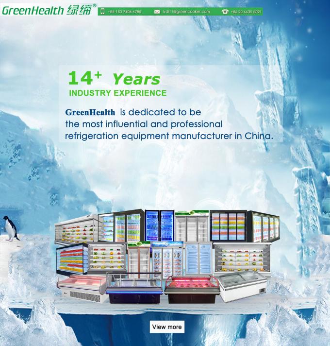Saving Energy Commercial Display Freezer Supermarket Island Freezer 18