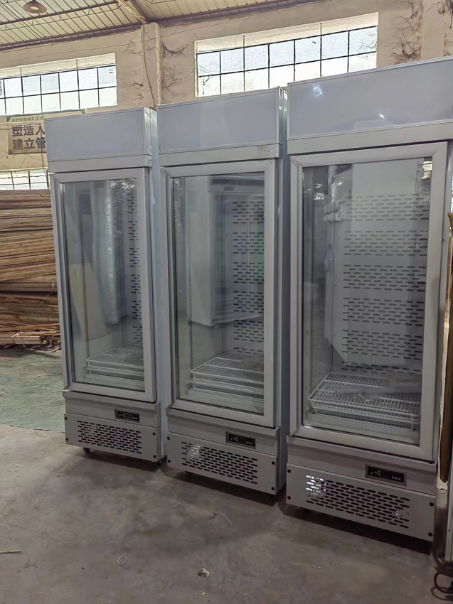 Retail Store Vitrine Door Upright Fridge Cold Display Freezers