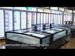 Shop Big Capacity Commercial Freezer With -18~-22 Degree Auto Defrost Aluminum Interior