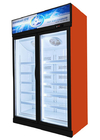Cold Chian Glass Door Freezer Display Cabinet Electronic Thermostat Control
