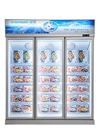 Stainless Steel Upright Commercial Display Freezer -22°C With 3 Doors