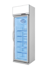 High Efficient Compressor One Door Upright Display Freezer Plastic Coated Steel