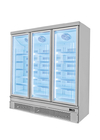 -18~-22 Glass Door Commercial Upright Deep Freezer For Restaurant LED Lighting