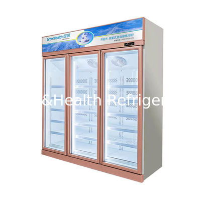 Eco-friendly Upright Glass Door Freezer For Sustainable Food Preservation