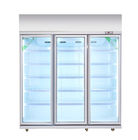 Commercial Upright Beverage Display Fridge For Cold Drinks / Meat 540W
