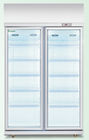 -18 ~ -22 ℃ Commercial Double Doors Upright Display Freezer With Glass Doors