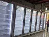 Auto Defrost Commercial Double Door Upright Display Freezer For Meat