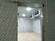 Customized Walk - In Cooler Freezer With Stainless Steel Material 60hz