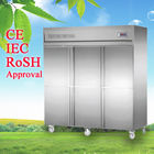 Energy Efficiency Silver Commercial Upright Freezer -18 Degree