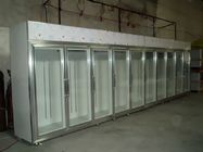 Solid Glass Door Freezer Triple Shelves With Heater Inside