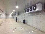 Fire - Proof Customized Cold Storage Room With Swing / Sliding Door