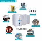 220V 380V Famous Brand Compressor Cold Storage Room For Supermarket