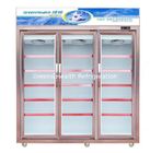 1650L Upright Commercial Display Freezer With Folding Door Large Capacity
