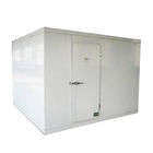 Commercial Freezer Room Warehouse With Moisture - Proof Cold Light