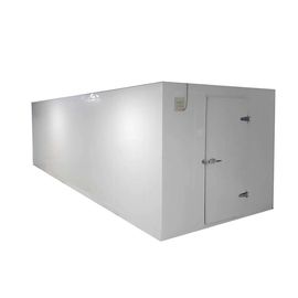 Double - Side Colored Steel Pu Panels Walk In Cold Room Compressor 40ft Storage Container