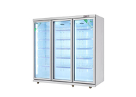 Display Chiller Commercial Beverage Cooler Refrigerator Glass Door Fridge