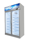 5 Adjustable Shelf R134 Vertical Display Freezer Commercial Upright Fridge
