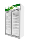 R134a 1129L Commercial Beverage Cooler Grocery Upright Freezer