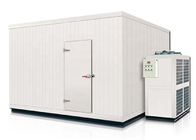 Big Size Cold Room Chiller Cold Storage Warehouse Customized Size For frozen food