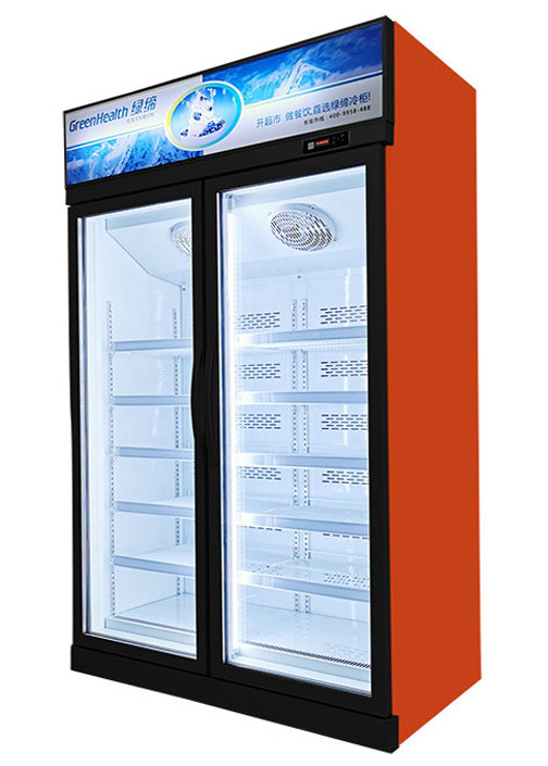Energy Efficiency Commercial Display Freezer Upright Refrigerator For Shop