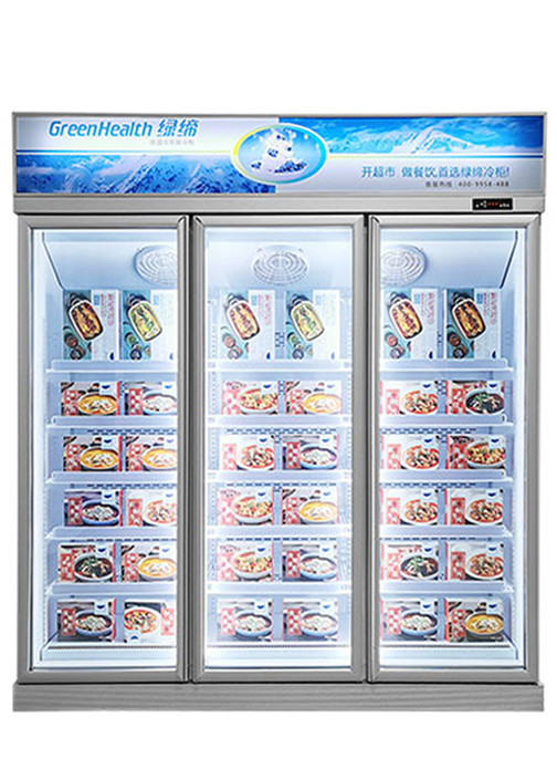 Energy Efficiency Commercial Display Freezer Upright Refrigerator For Shop