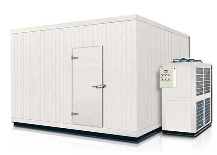 Easy Install Size And Temperature Customized Cold Storage Room For Meat