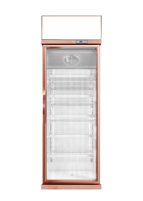 452L Commercial Beverage Cooler LED Light No Frost Vertical Juices Display Chiller For Hypermarket