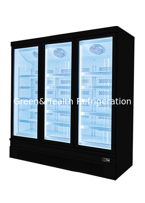 110V Commercial Upright Freezer Seafood Ice Cream Frozen Chicken Product Display Freezer