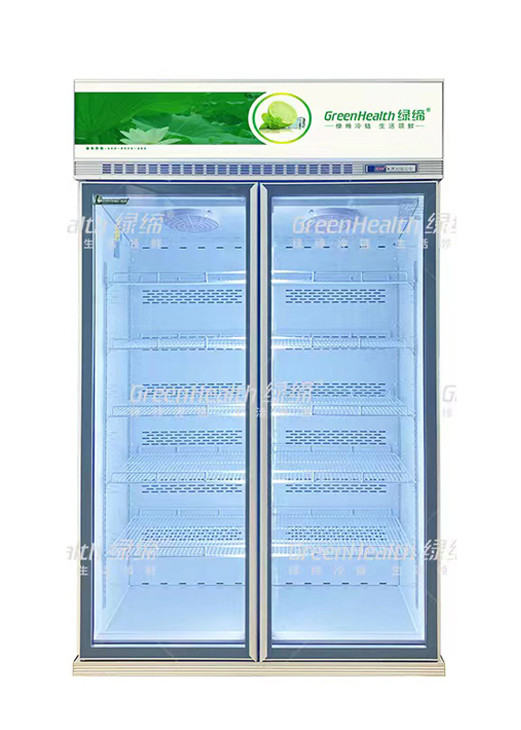 Engine On The Top Inverter Cool Drinks Display Chiller With LED