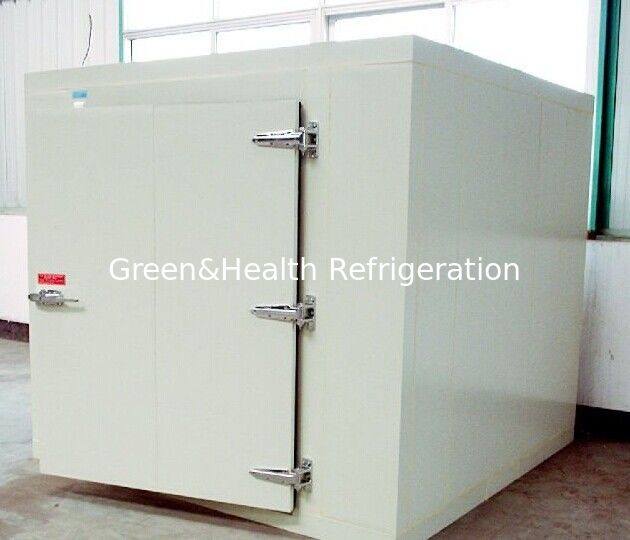 Commercial Cold Storage Room For Fish / Water Cooled Walk In Chiller Freezer