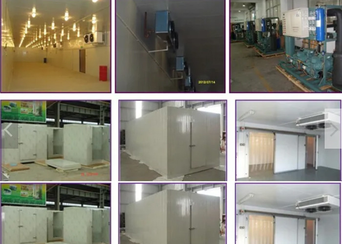 30M3 Food Storage Freezer PU Panel Walk In Cold Storage Room Condensing Unit Refrigerators