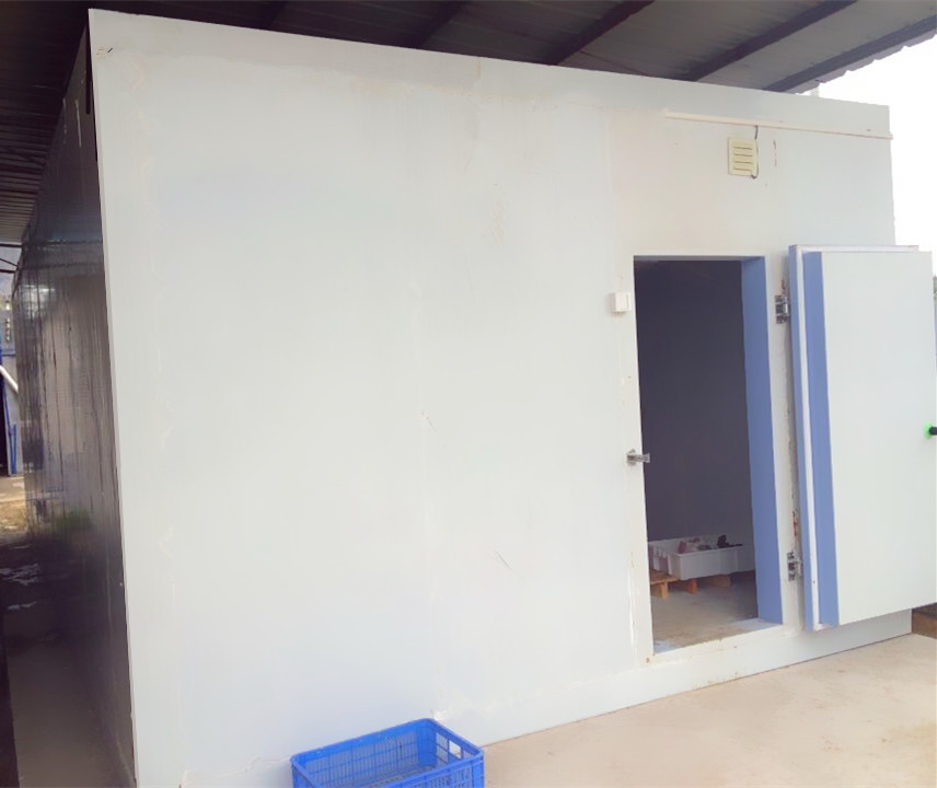 Double Temperature Combo Cold Storage Room Commercial Walk In Freezer For Vegetable And Meat