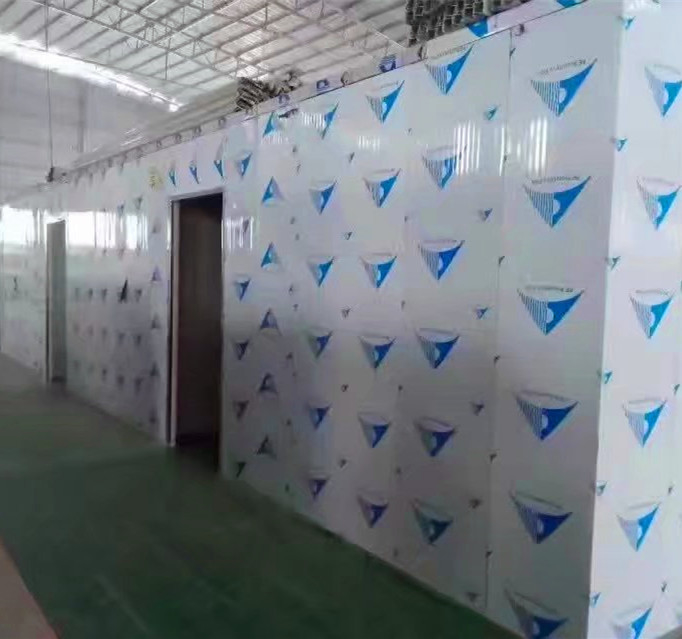 Double Temperature Combo Cold Storage Room Commercial Walk In Freezer For Vegetable And Meat