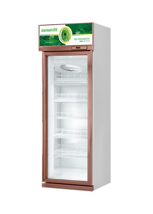 R134a Commercial Display Freezer Glass Door Luxury Upright Refrigerator For Beverage Wine
