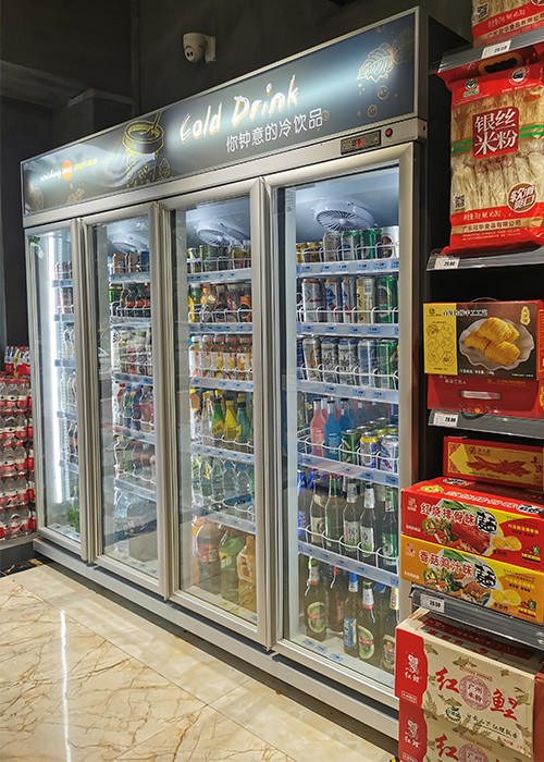 Double Door Upright Glass Display Refrigerators For Small Market