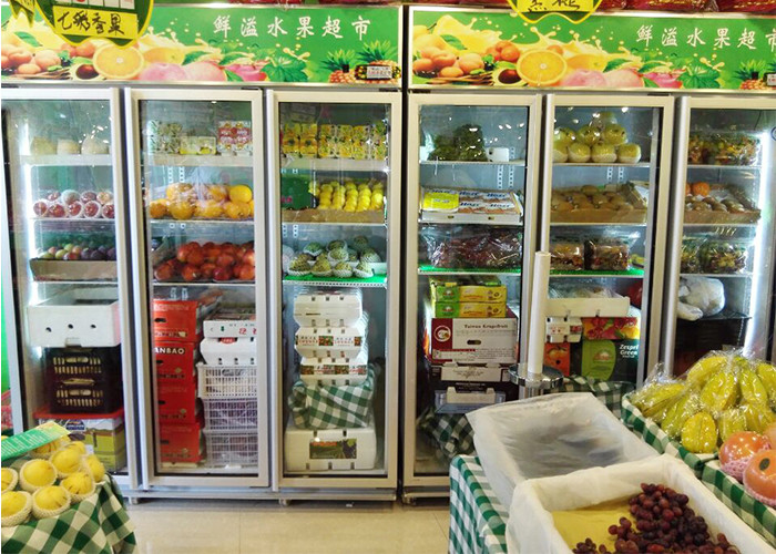 Double Door Upright Glass Display Refrigerators For Small Market