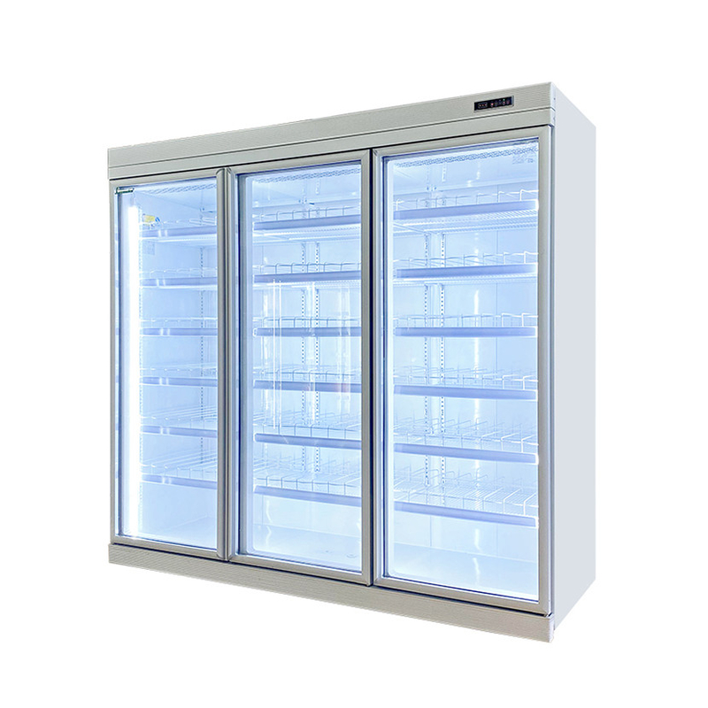 Commercial Frost Free Upright Freezer With 2/3/4/5 Doors Wheels Included