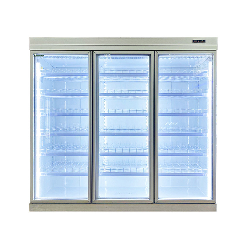 Commercial Frost Free Upright Freezer With 2/3/4/5 Doors Wheels Included