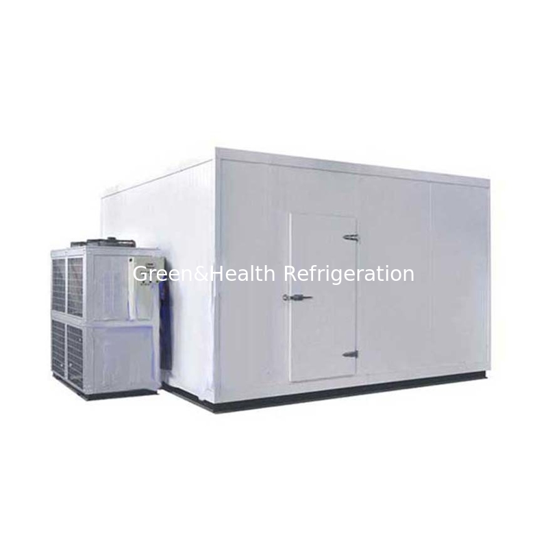 Professional Cold Storage Room for Vegetables Fruits Meat and Fish with Water or Air Cooling