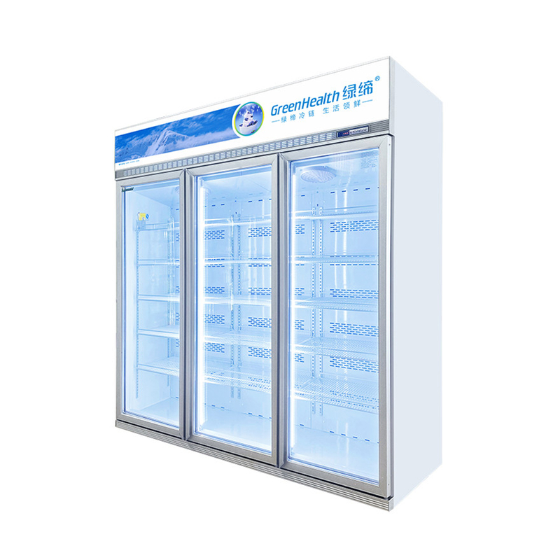 Energy Saving Customizable Commercial Display Freezer For Food Products Preservation