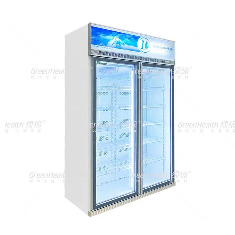 Variable Freque Commercial Upright 2 Door Display Freezer With Fan Cooling And LED