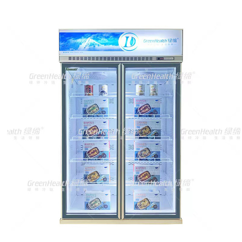 Variable Freque Commercial Upright 2 Door Display Freezer With Fan Cooling And LED