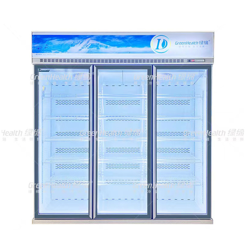 Variable Freque Commercial Upright 2 Door Display Freezer With Fan Cooling And LED
