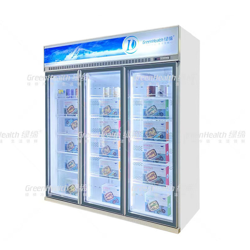 Variable Freque Commercial Upright 2 Door Display Freezer With Fan Cooling And LED