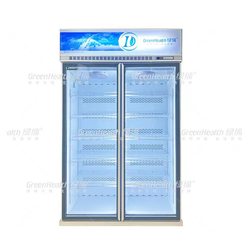 Variable Freque Commercial Upright 2 Door Display Freezer With Fan Cooling And LED