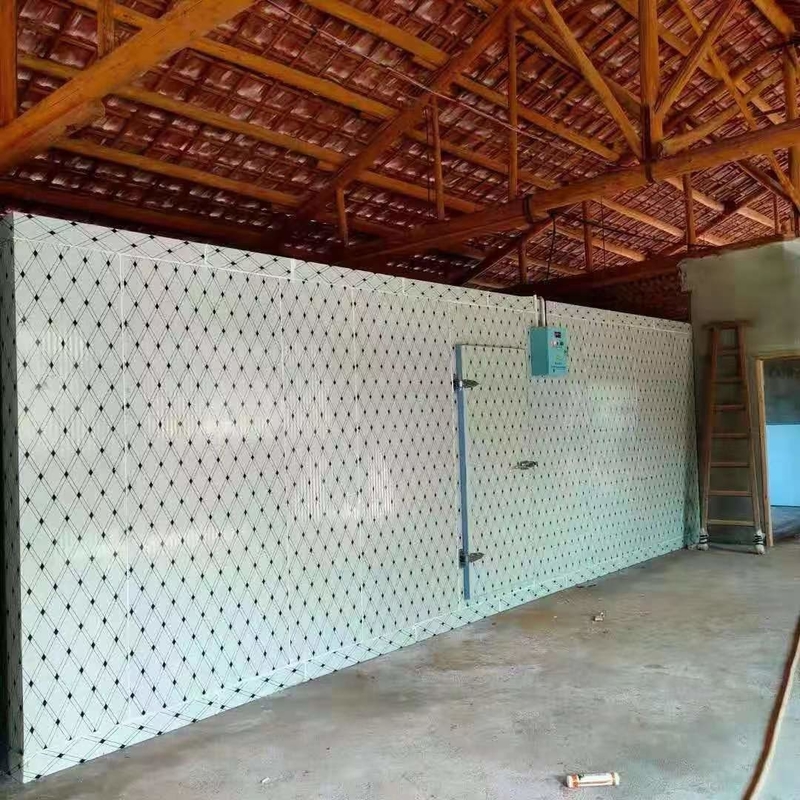 Custom Cold Storage Room For Fish And Meat Freezing With Automatic Control System